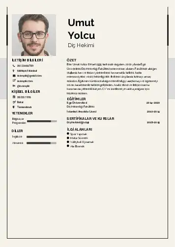 Diş Hekimi cv indir